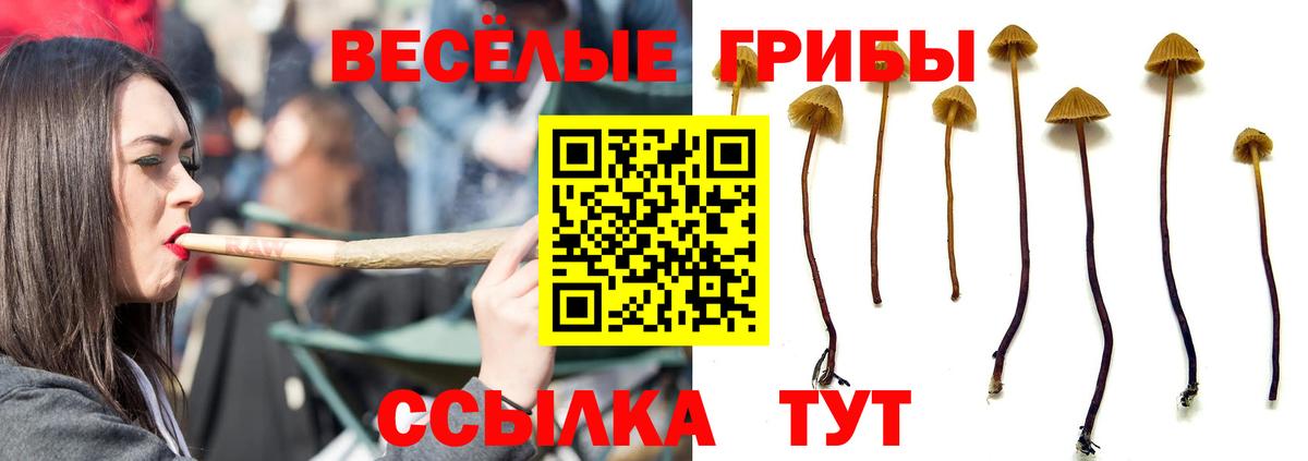 Галлюциногенные грибы мухоморы Курганинск