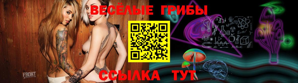 Галлюциногенные грибы GOLDEN TEACHER  Вход с VPN  Курганинск  Галлюциногенные грибы мицелий 